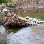 850 Meter an der Wiese bei Maulburg werden ökologisch umgestaltet