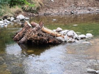 850 Meter an der Wiese bei Maulburg werden ökologisch umgestaltet