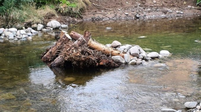 850 Meter an der Wiese bei Maulburg werden ökologisch umgestaltet