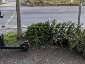 Abholung der Weihnachtsbäume in Heidelberg beginnt in der ersten Januarwoche