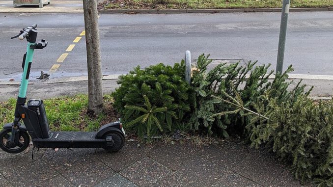 Abholung der Weihnachtsbäume in Heidelberg beginnt in der ersten Januarwoche
