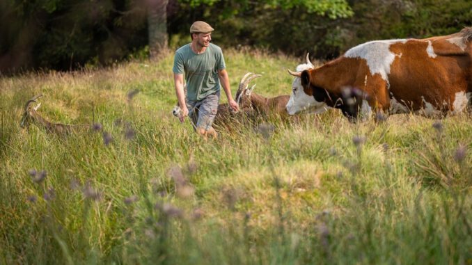 Bauernhöfe im Südschwarzwald öffnen: Exkursionen zu Wiesen, Weiden und Artenvielfalt