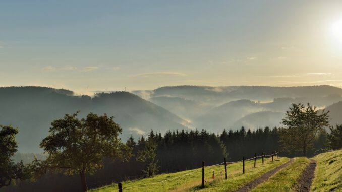 Biosphärengebiet Schwarzwald setzt Schwerpunkte für 2026 und bereitet UNESCO-Evaluation vor