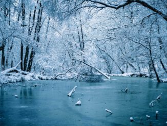 Heilbronn: Stadt weist auf Sperrung der Seenflächen bis zu 15 Zentimeter Eisstärke hin