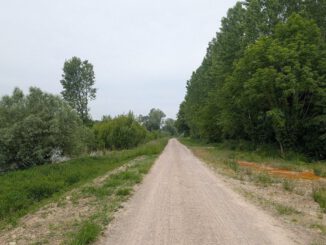 Start in Burkheim: Bau des Leitdamms West für Hochwasserschutz am Rhein beginnt