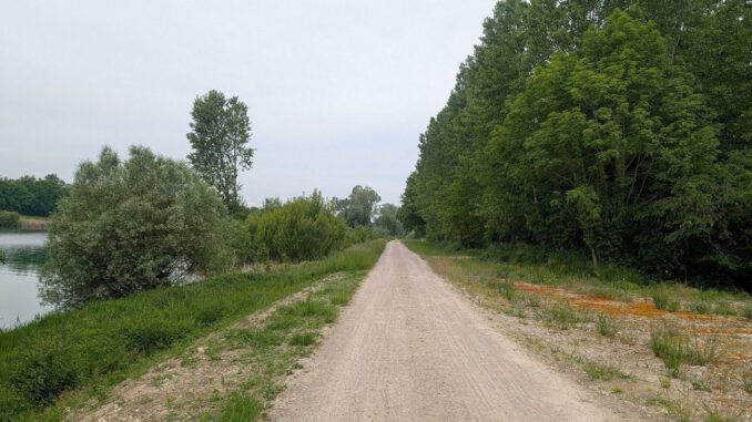 Start in Burkheim: Bau des Leitdamms West für Hochwasserschutz am Rhein beginnt Start in Burkheim: Bau des Leitdamms West für Hochwasserschutz am Rhein beginnt